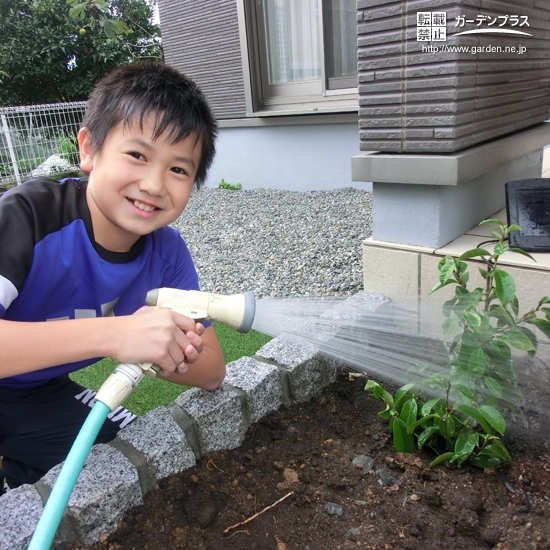 カラタネオガタマ植樹の様子②