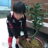 温州ミカン植樹の様子②