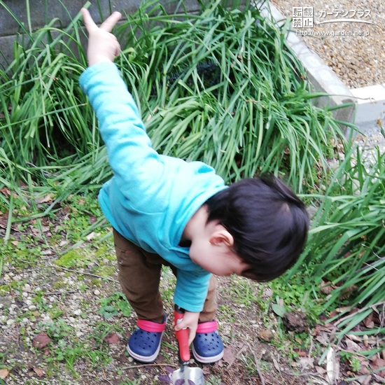 記念樹植樹の様子①