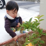 記念樹植樹の様子②