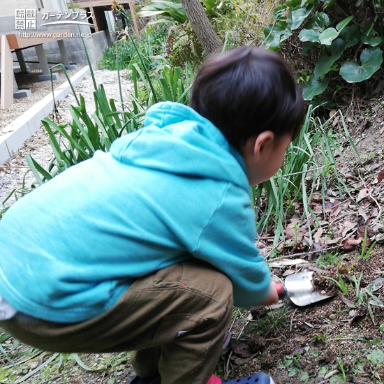 記念樹植樹の様子③