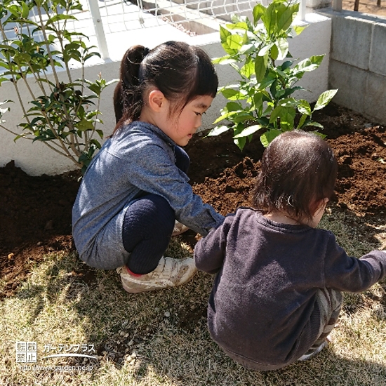 記念樹植樹の様子②