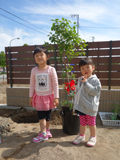 山梨県南巨摩郡富士川町ミモザとライラックの植樹風景