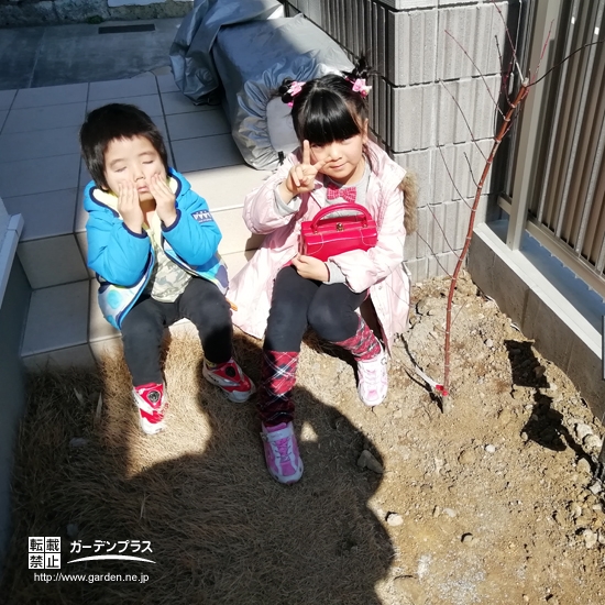 モミジ植樹後のお写真②