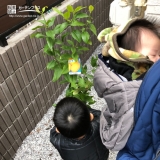 記念樹植樹の様子③