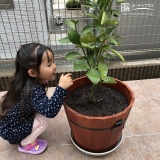 温州ミカン植樹後の記念写真