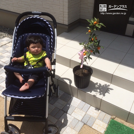 キンカンとお子さまの記念写真①
