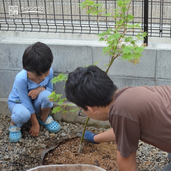 記念樹植樹の様子