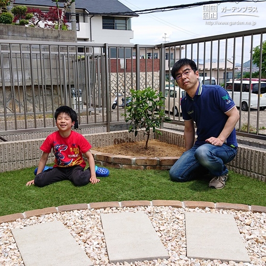 植樹後の四季咲きモクセイ②