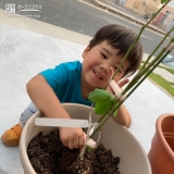 記念樹植樹の様子