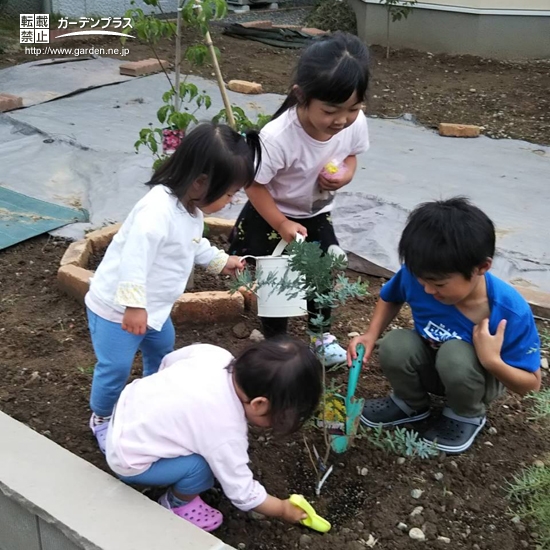 記念樹植樹の様子①