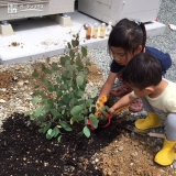 記念樹植樹の様子