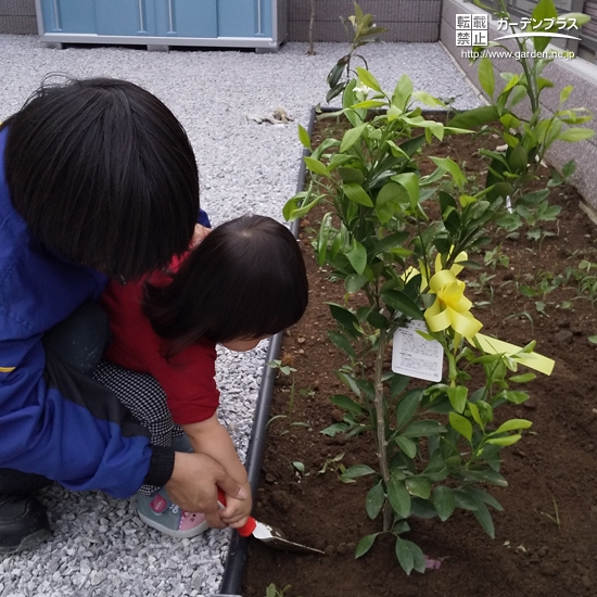 記念樹植樹の様子