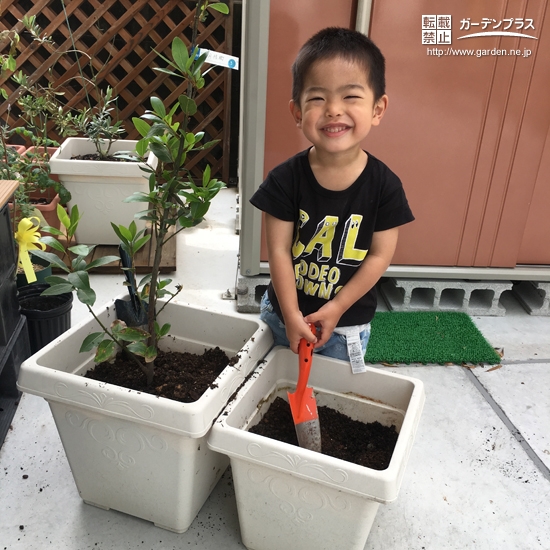 記念樹植樹の様子