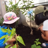 記念樹植樹の様子①