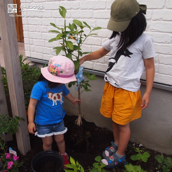 記念樹植樹の様子②