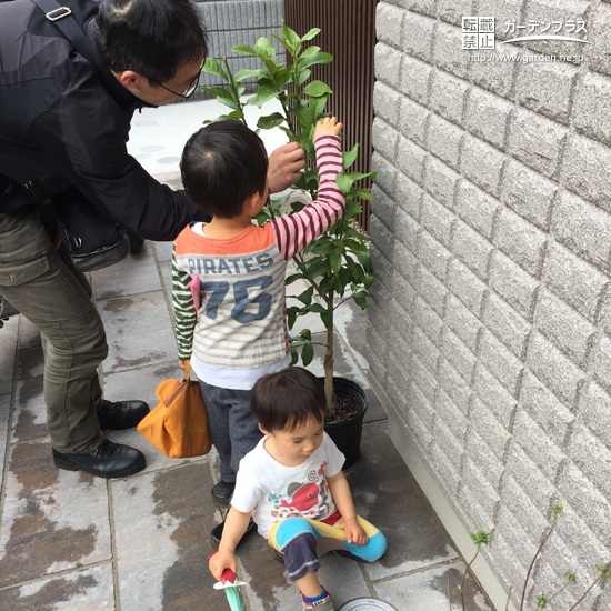 記念樹植樹の様子