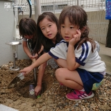 ミモザ植樹の様子