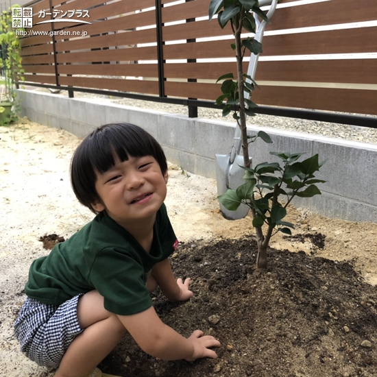 ライラック植樹の様子①