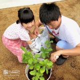 記念樹植樹の様子②