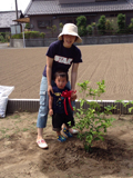 愛知県稲沢市四季咲きモクセイの植樹風景