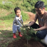 セイヨウニンジンボク植樹の様子