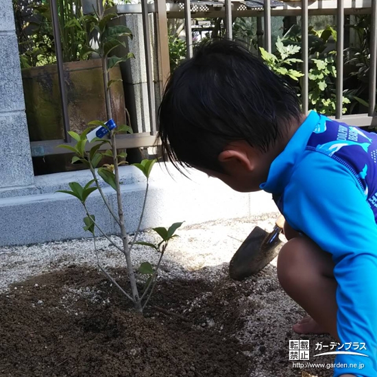 植樹の様子②