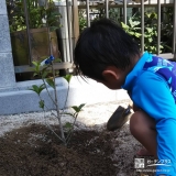 植樹の様子②