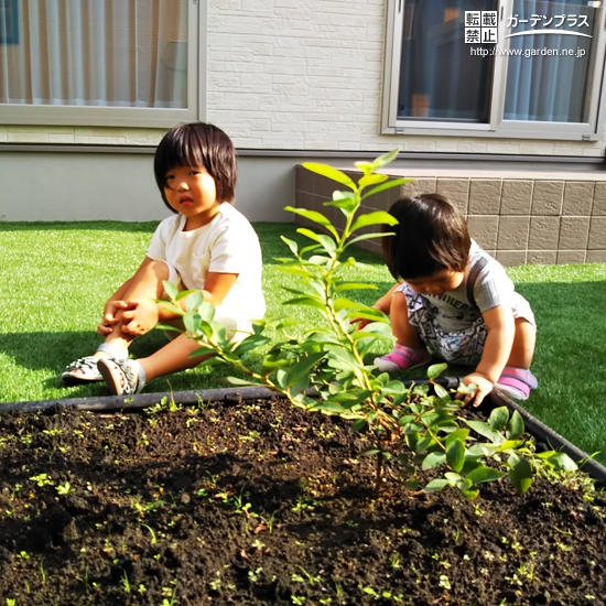 植樹の様子①