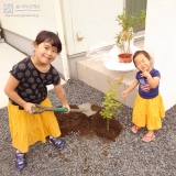 もみじの植樹の様子