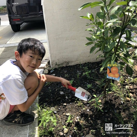 植樹の様子