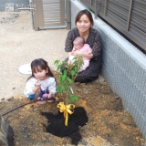 記念樹植樹の様子②