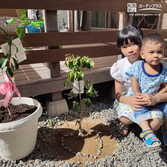 植樹後の記念樹