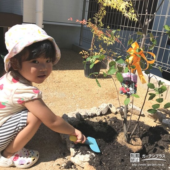 植樹の様子