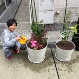 植樹の様子①