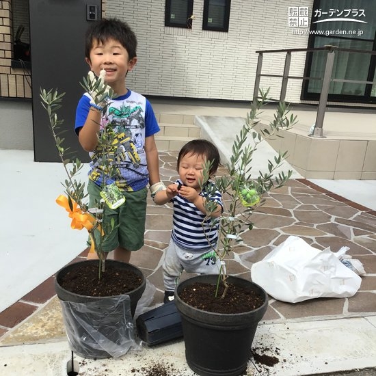 記念樹と記念撮影