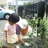 神奈川県足柄上郡松田町オリーブとレモンの植樹風景