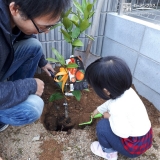 植樹の様子