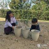 植樹の様子