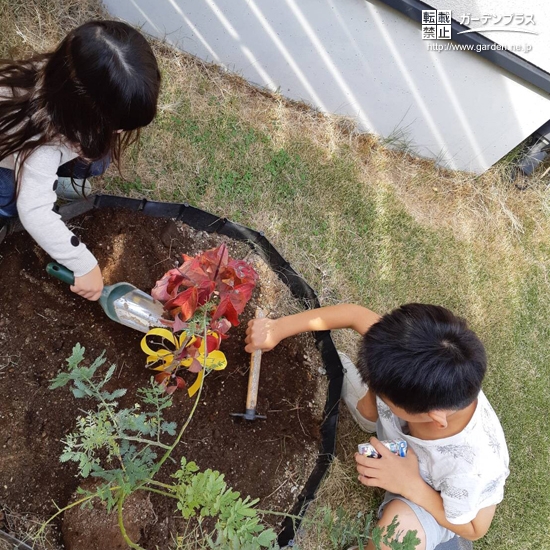 植樹の様子①