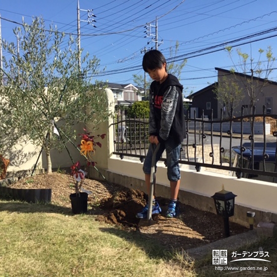 植樹の様子