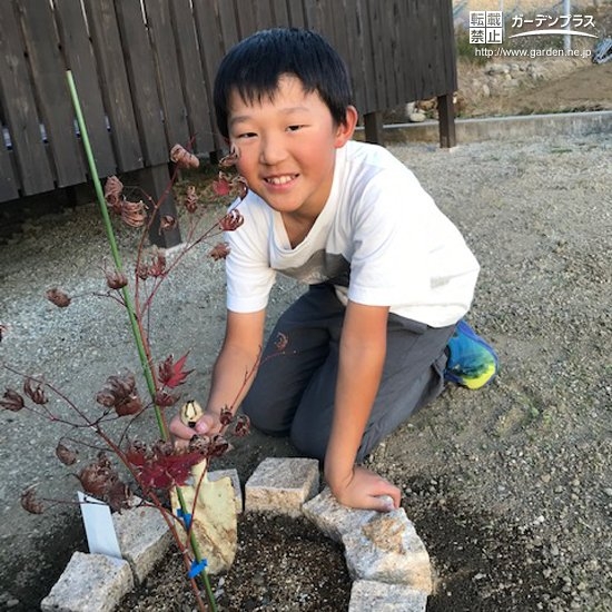 植樹の様子