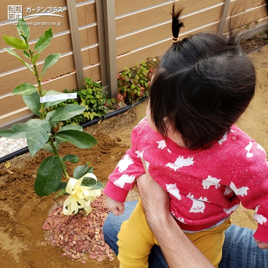 記念樹とのお写真