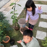 記念樹植樹の様子