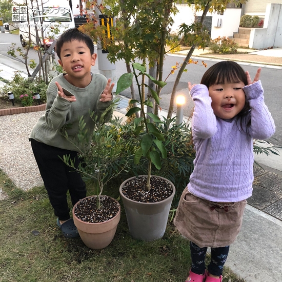記念樹植樹の様子