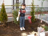 静岡県田方郡函南町アルプス乙女とゆずとレモンの植樹風景