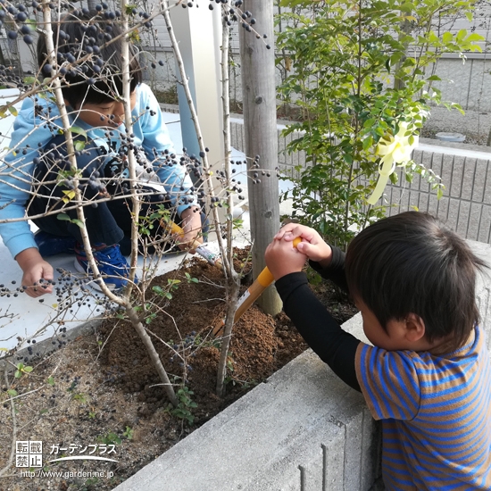 記念樹植樹の様子②