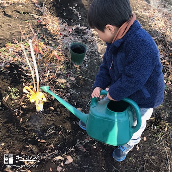 記念樹植樹の様子③