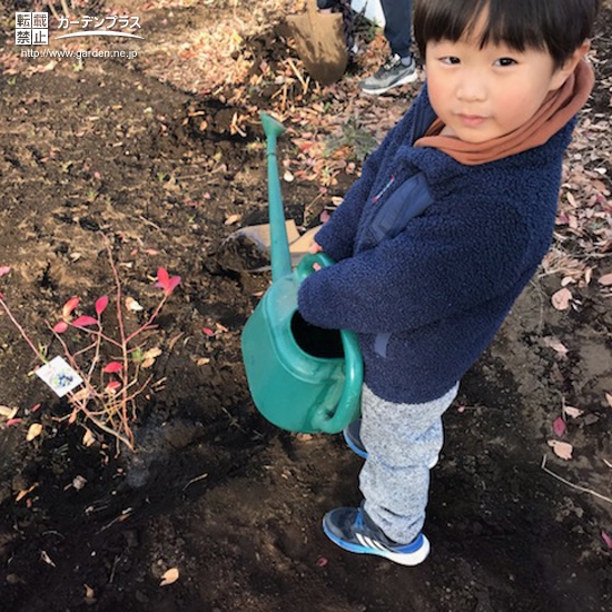 記念樹植樹の様子④