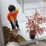 ナンテン植樹の様子